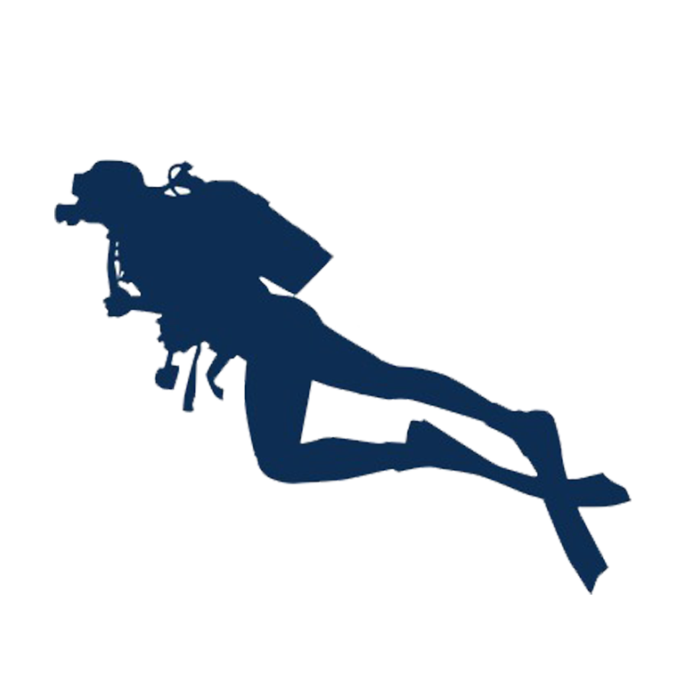 Mayan Xenotes